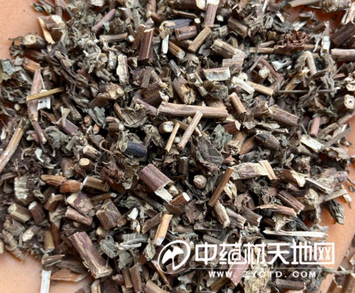 广藿香身陷低价困境