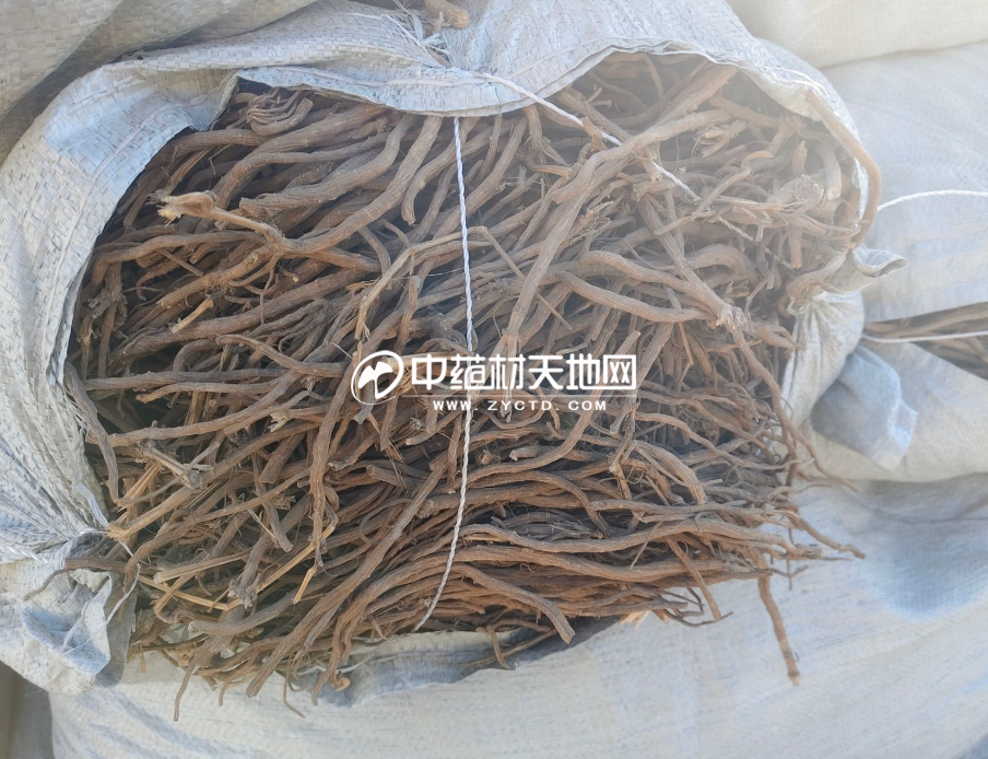 牛膝产新低开高走：后市走势预判