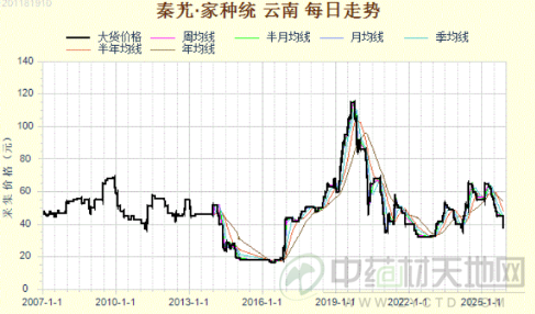 秦艽：牛市行情翻倍 熊市价落为哪般？