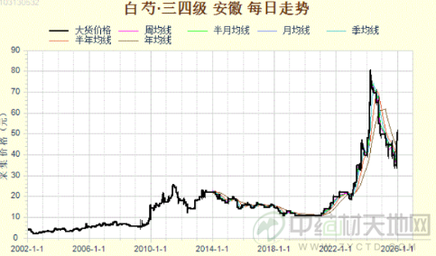 白芍行情大反转 能否出现更高的行情？