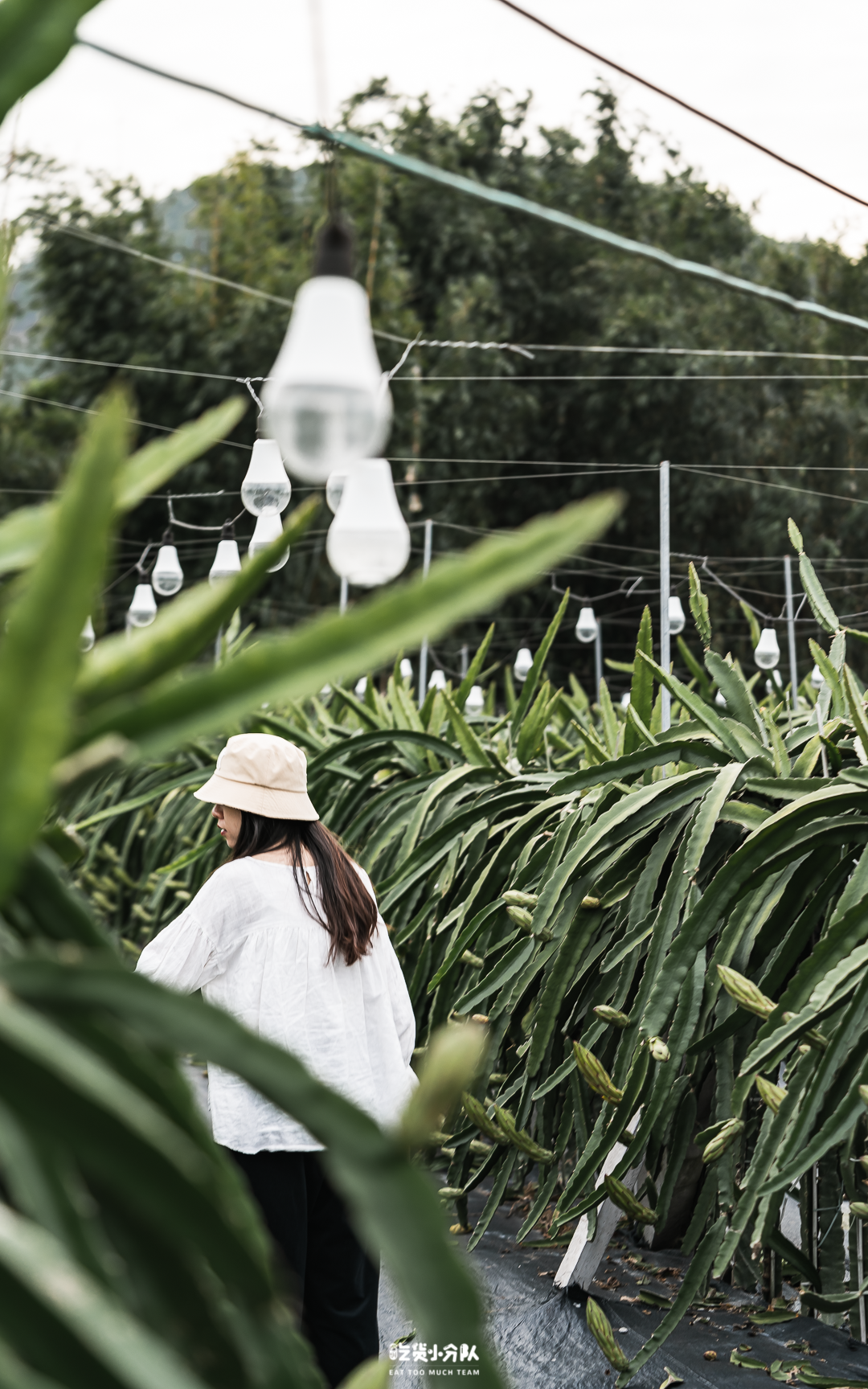 ������Ұ��ľƵ̫꣬�ʺ϶ȼ���