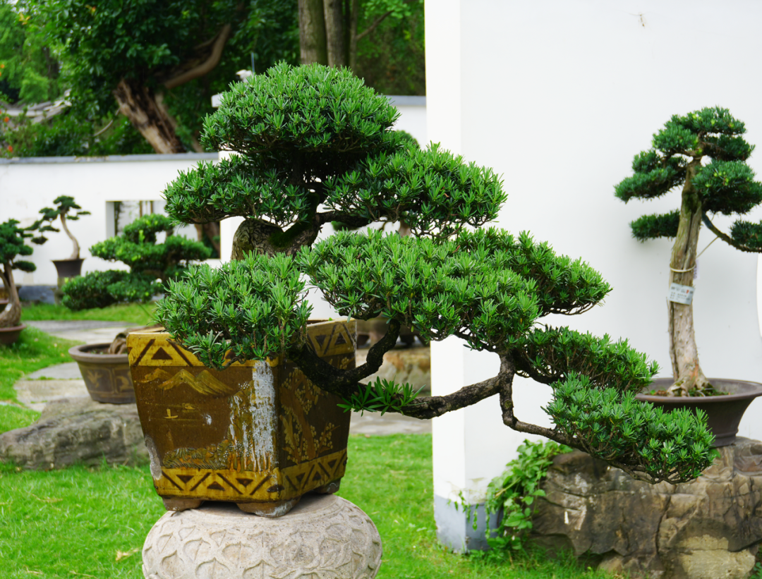 错过等一年！金牛这里换上夏日限定装扮插图20