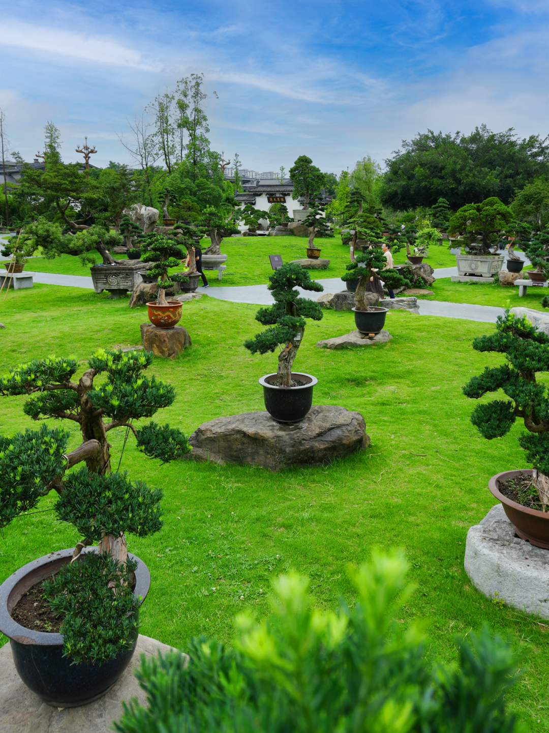 错过等一年！金牛这里换上夏日限定装扮插图18