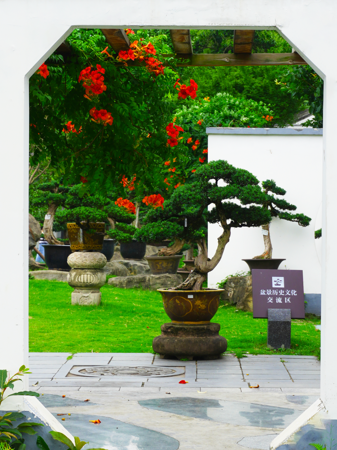 错过等一年！金牛这里换上夏日限定装扮插图7