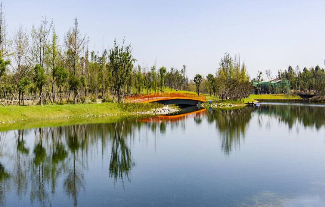 春风十里·花重锦官 | 锦江区河蔚赝 -天府龙泉驿
