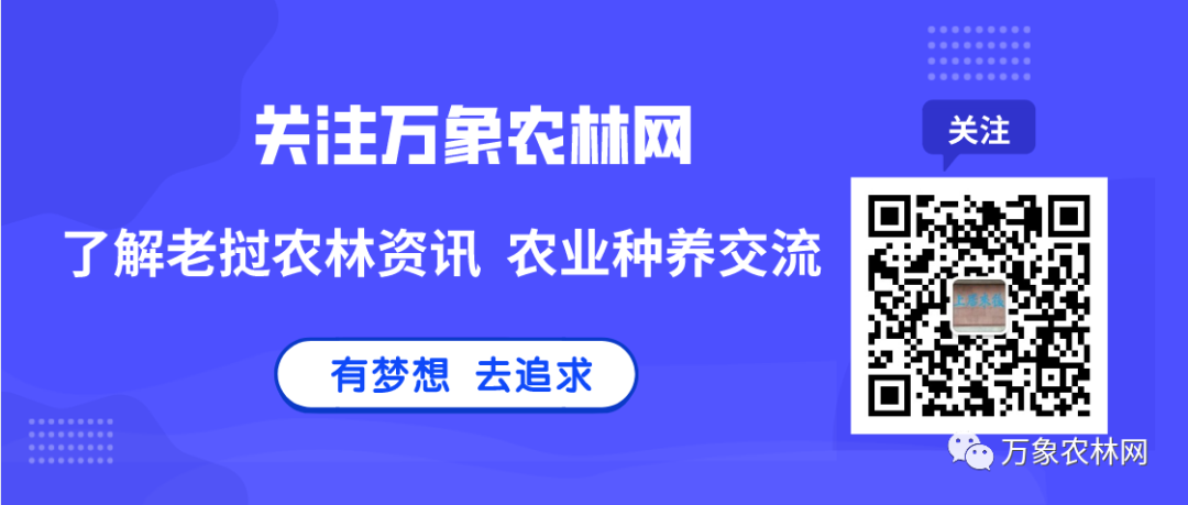 养牛视频致富经_农业节目致富经养牛视频_致富经养牛视频