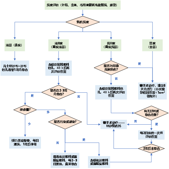 创面修复抗菌敷料怎么用走进创面修复：不同深度和治疗阶段的烧伤创面如何选择敷料？_https://www.jmylbn.com_新闻资讯_第8张