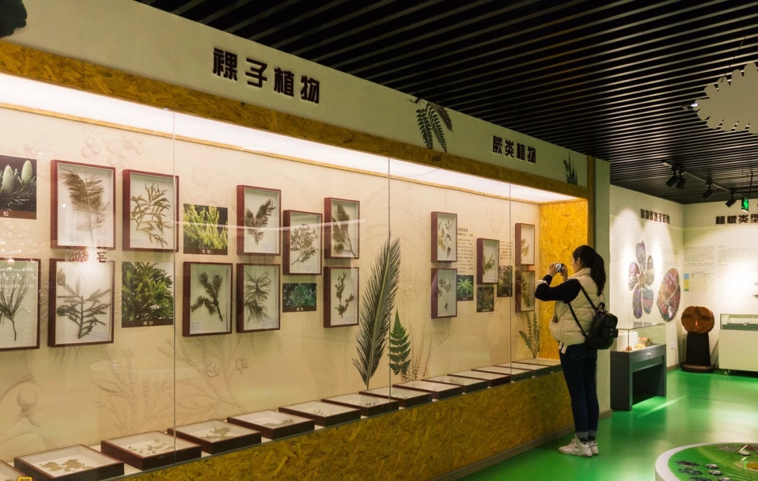 与精灵共舞——紫金山昆虫博物馆冬令营-在线订票-互动吧