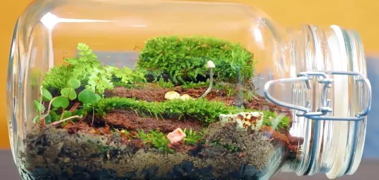 与精灵共舞——紫金山昆虫博物馆冬令营-在线订票-互动吧