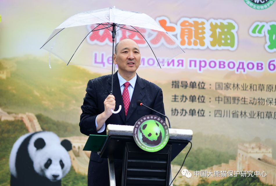 【旅比大熊猫“守护者”埃里克·董博：打开感知中国之门】