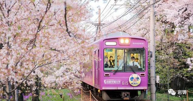 日本動漫才有的場景：櫻花林里的小火車。春天賞櫻花，秋天賞紅葉 動漫 第5張