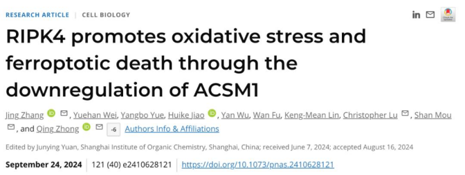 新鮮出爐的國自然熱點(diǎn)，PNAS揭示氧化應(yīng)激壞死和鐵死亡調(diào)控的新機(jī)制