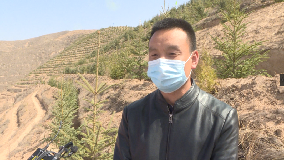 崂山陇西关东山生态友谊林将于5月中旬建成