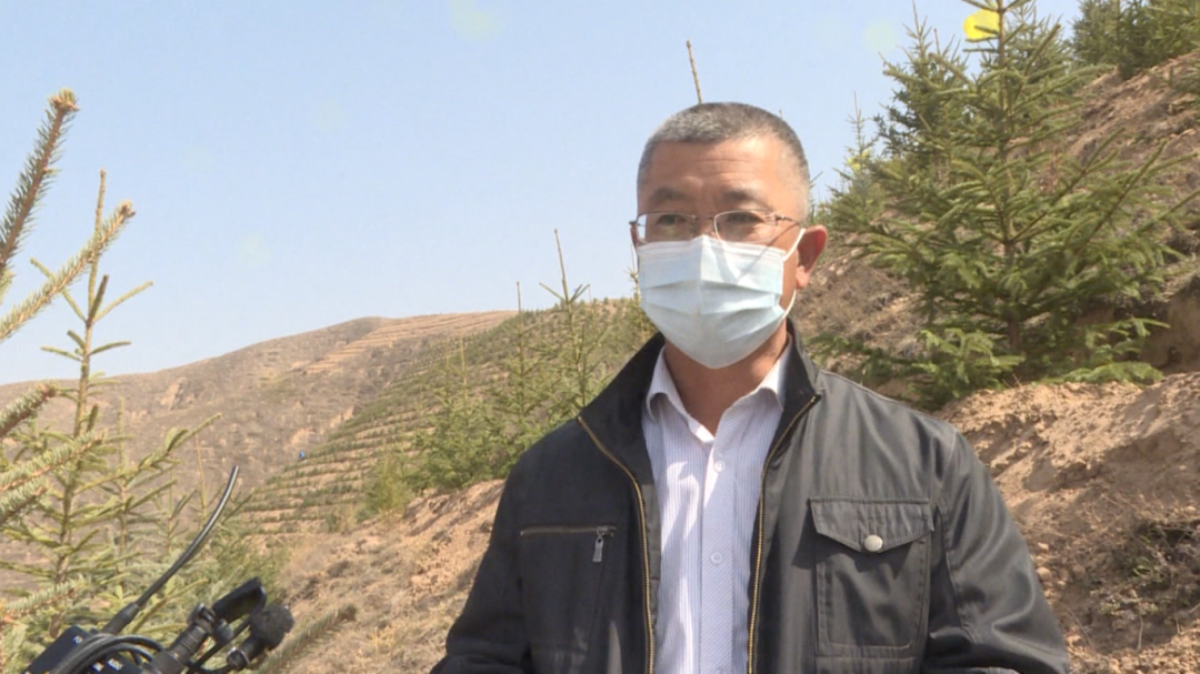 崂山陇西关东山生态友谊林将于5月中旬建成