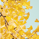 領(lǐng)拓聚焦 | 廣東省電子顯微鏡學會2024年學術(shù)年會