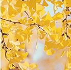 領(lǐng)拓聚焦 | 廣東省電子顯微鏡學會2024年學術(shù)年會