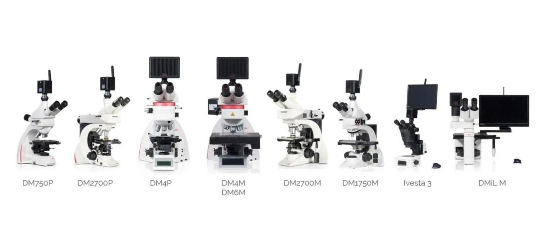 年終回顧 | 領(lǐng)拓2024年大事記