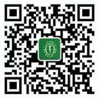 造成虚胖的五大原因,您知道吗？(图15)