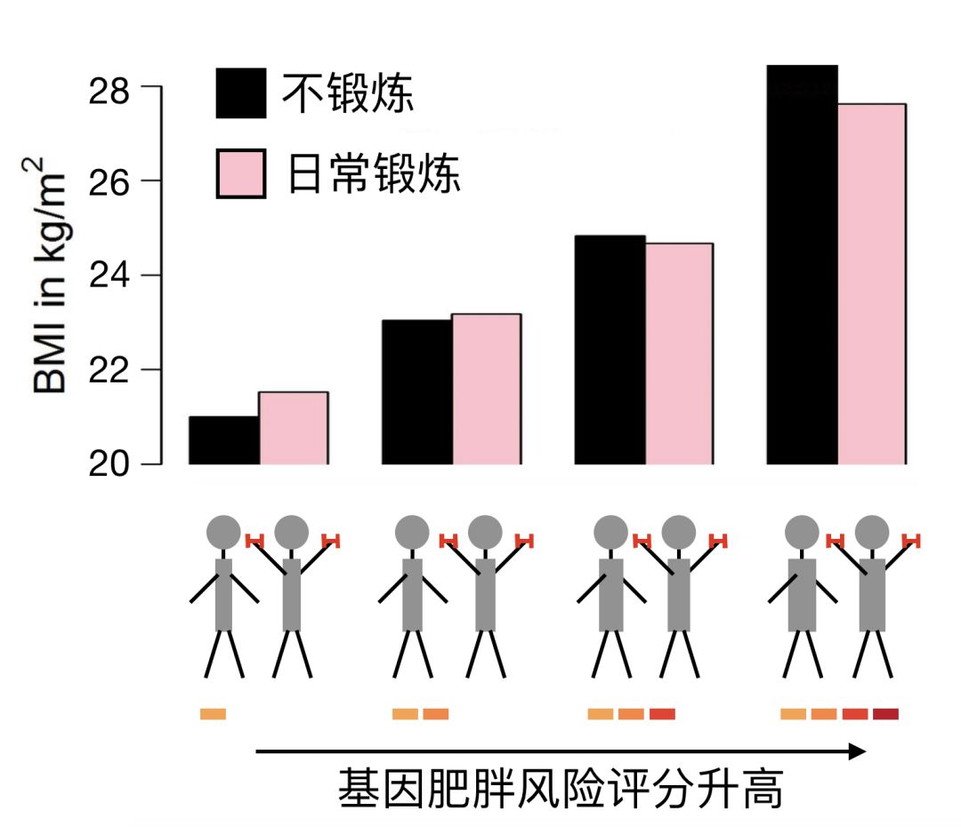 运动减肥_减肥运动操瘦全身_减肥运动的最佳时间