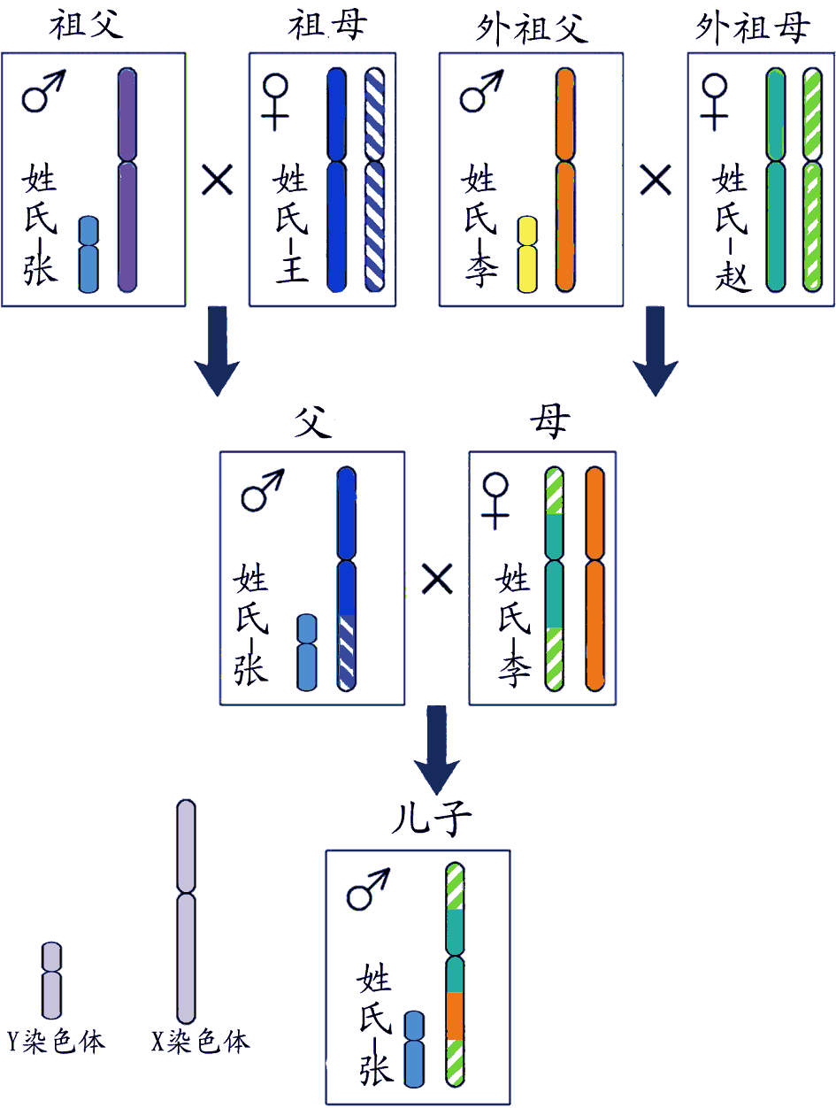 Pavillon Violet Octobre 19