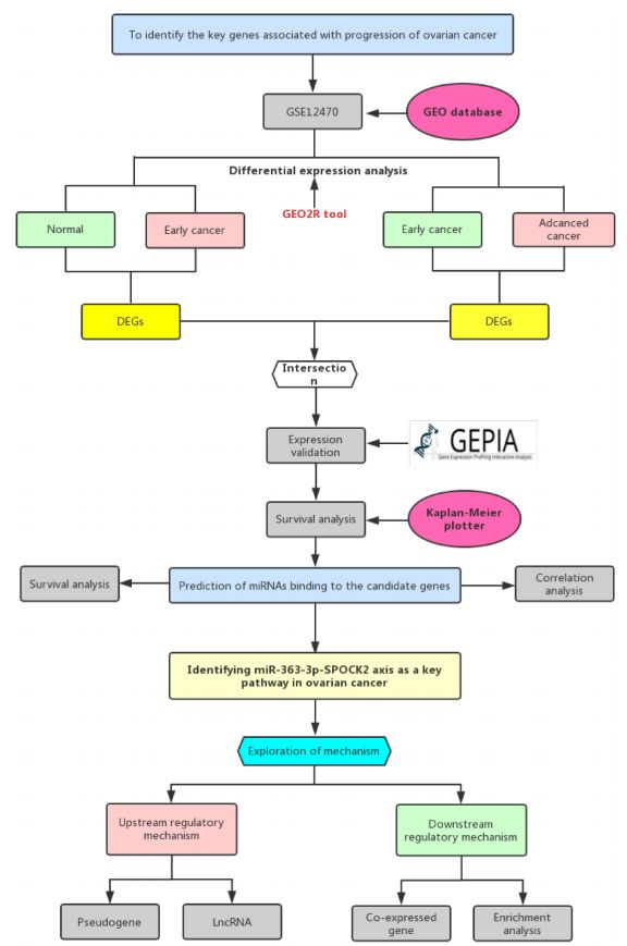 卵巢癌cerna 生信人 微信公众号文章阅读 Wemp