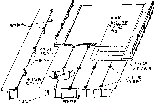 t梁主梁构造图图片