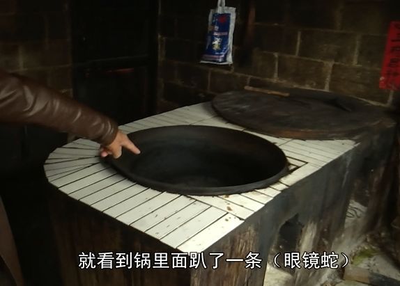 藏族驱鼠粉有没有毒_正宗驱鼠粉_驱蛇粉