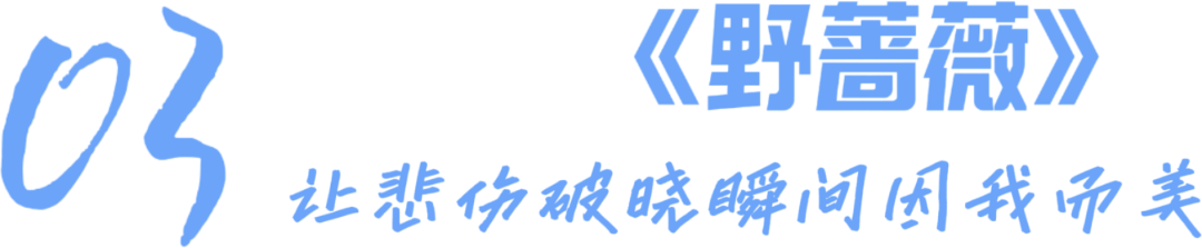 乘风破浪第三季星门剧集网