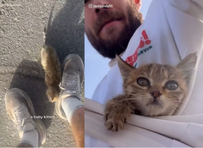 British Runner Rescues Gobi Desert Kitten on Beijing-to-London Run