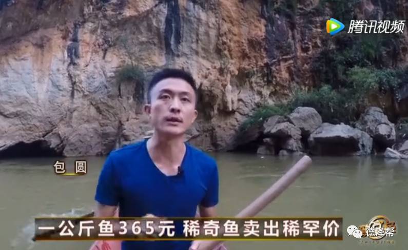 致富经cctv7视频_致富经cctv7视频_致富经cctv7视频