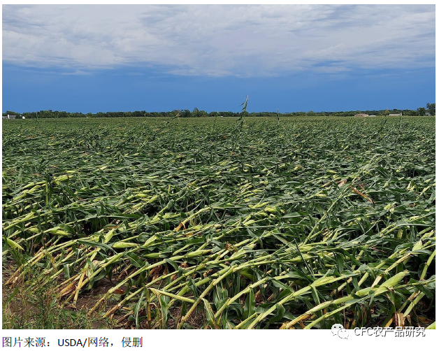 640?wx_fmt=png&tp=webp&wxfrom=5&wx_lazy=1&wx_co=1