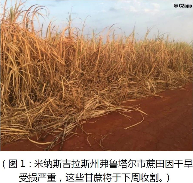 640?wx_fmt=png&tp=webp&wxfrom=5&wx_lazy=1&wx_co=1