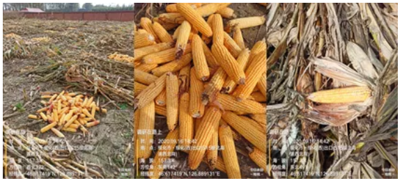 640?wx_fmt=png&tp=webp&wxfrom=5&wx_lazy=1&wx_co=1