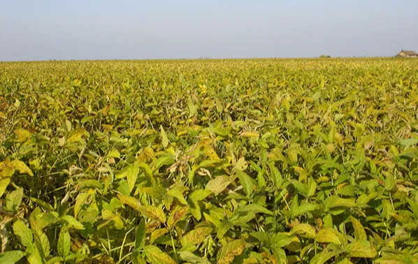 640?wx_fmt=png&tp=webp&wxfrom=5&wx_lazy=1&wx_co=1