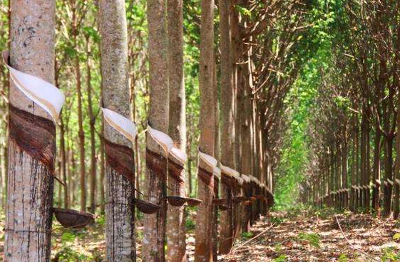 640?wx_fmt=png&tp=webp&wxfrom=5&wx_lazy=1&wx_co=1