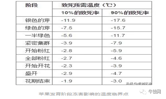 640?wx_fmt=png&tp=webp&wxfrom=5&wx_lazy=1&wx_co=1