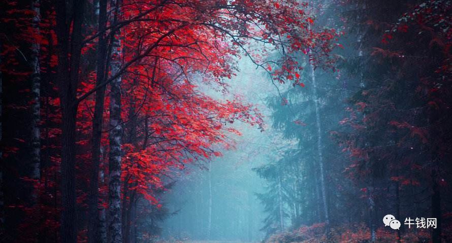 640?wx_fmt=png&tp=webp&wxfrom=5&wx_lazy=1&wx_co=1