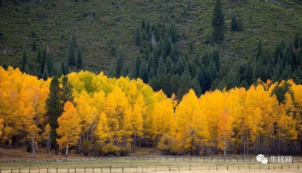 640?wx_fmt=png&tp=webp&wxfrom=5&wx_lazy=1&wx_co=1