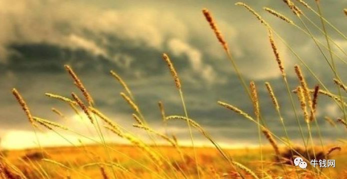 640?wx_fmt=png&tp=webp&wxfrom=5&wx_lazy=1&wx_co=1