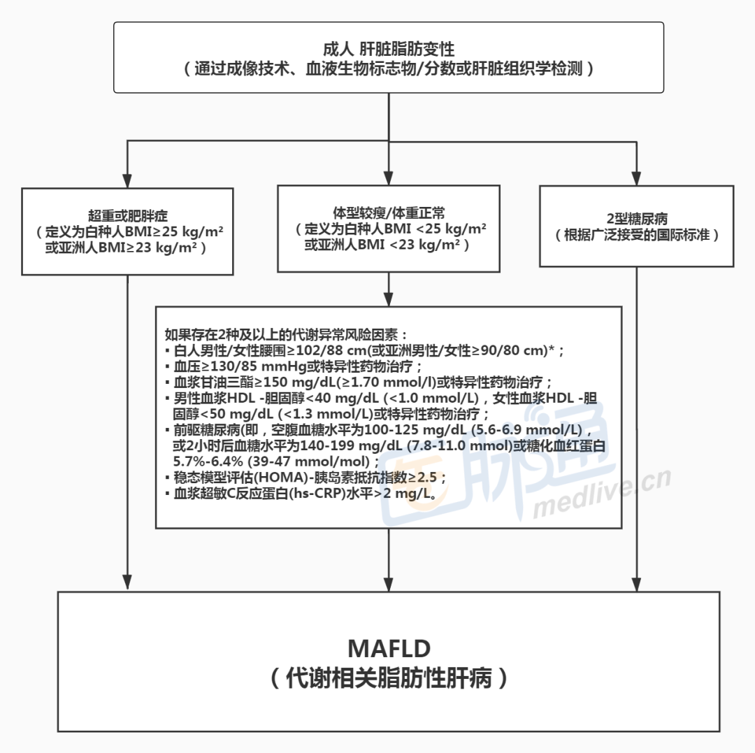 從NAFLD到MAFLD，臨床診治的一大步｜專家視角 健康 第3張