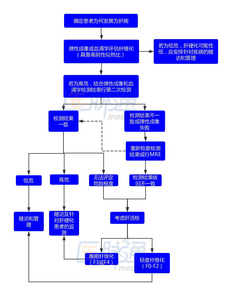 NEJM：選擇肝活檢還是無創檢查？ 健康 第3張