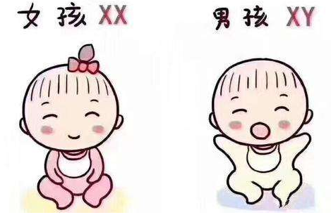 试管染色体检查结果解读_染色体试管_9号染色体倒位必须做试管吗