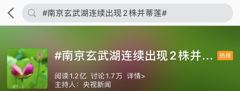 生成幾率僅有十萬分之一的並蒂蓮，竟被遊客摘走了！理由很奇葩… 旅遊 第2張