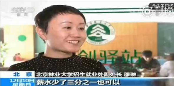 高校毕业生不着急找工作了？95后：稳住 我们能赢