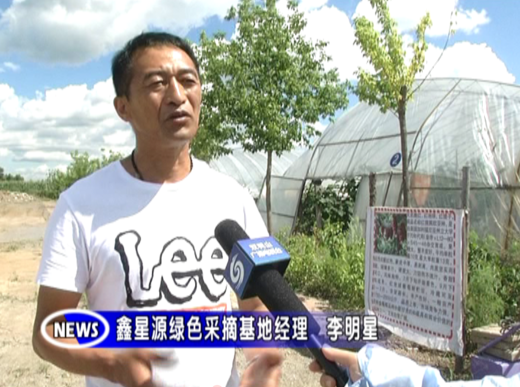 致富农业合作社ppt_农业致富经_致富农业华为眉县那个支付秘抄