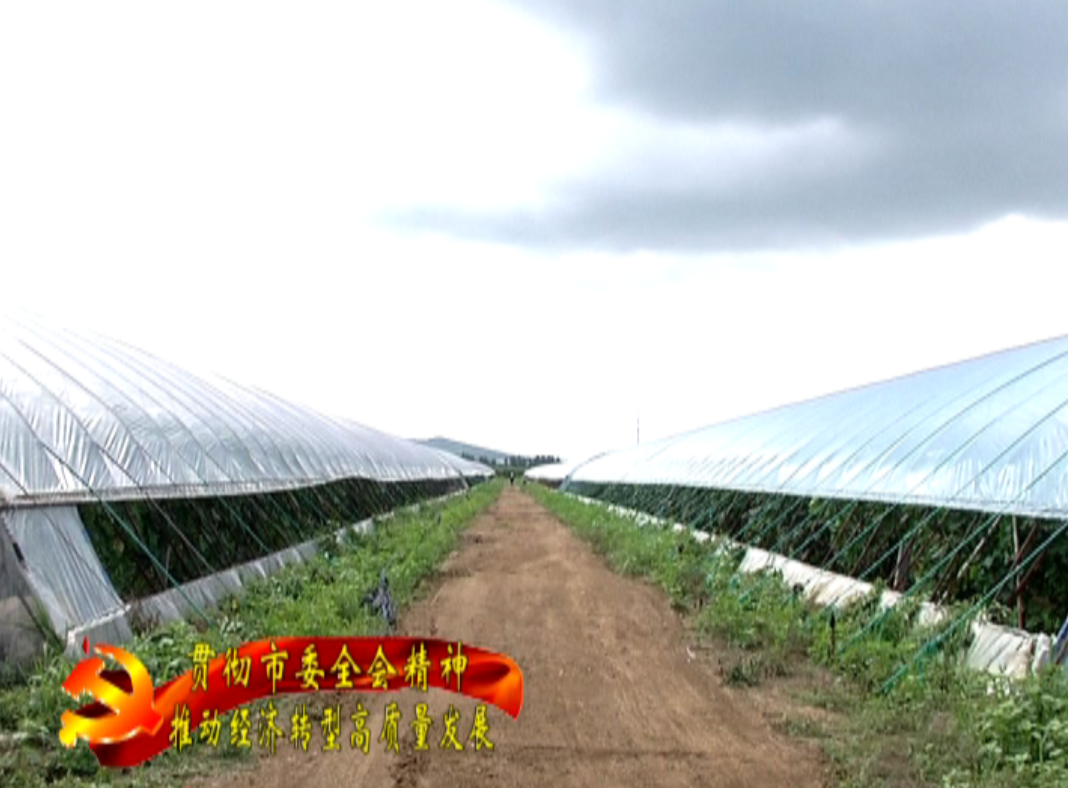 致富农业合作社ppt_致富农业华为眉县那个支付秘抄_农业致富经