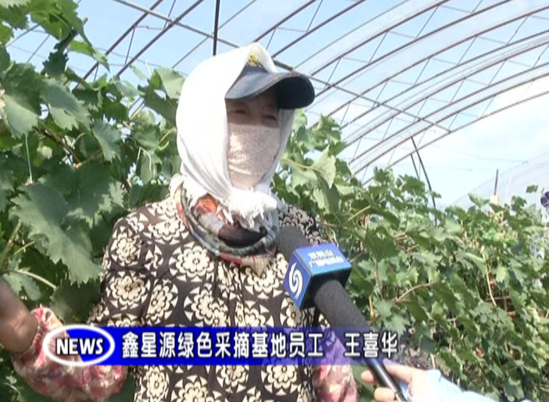 致富农业合作社ppt_农业致富经_致富农业华为眉县那个支付秘抄