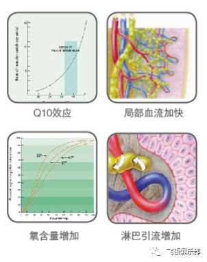 多极射频是什么【科普】射频RF应用于医美抗衰发展历程_https://www.jmylbn.com_新闻资讯_第9张