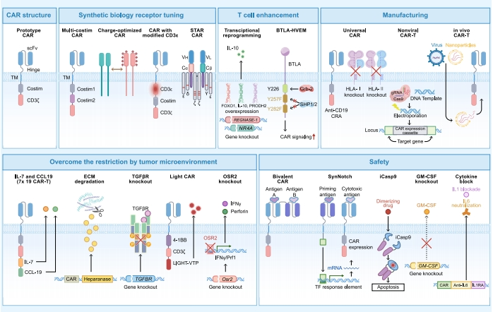 深度解码！邦耀生物刘明耀、杜冰教授团队Cancer Cell综述：CAR-T攻克实体瘤的破局之道