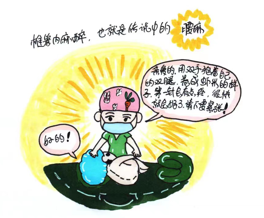 为什么使用手术对接车【护理科普】护理健康之——手术室术前健康宣教_https://www.jmylbn.com_新闻资讯_第22张